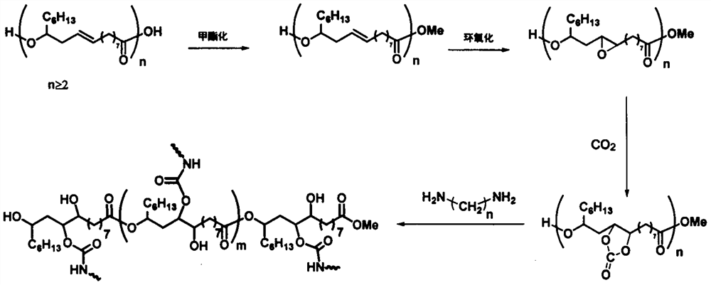 Novel castor-based polyurethane coating material and preparation method thereof