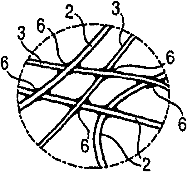 Composite shoe sole, footwear constituted thereof and method for producing the same