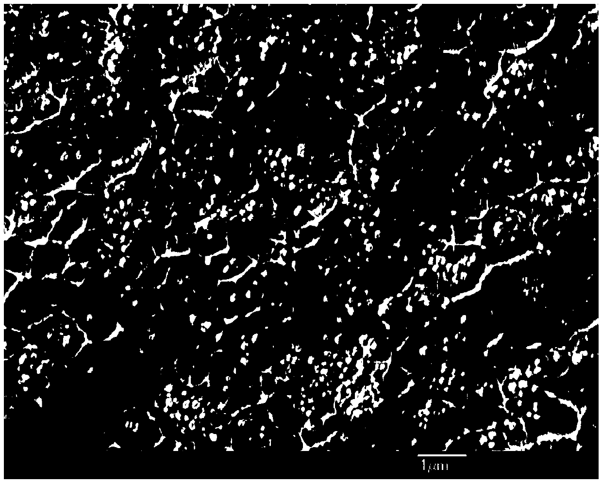 Carbonyl-containing material-coated barium titanate/polymer composite film and preparation method thereof and application