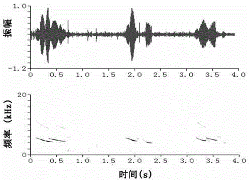 Acoustic driving and protecting method for sousa chinensis in construction sea area