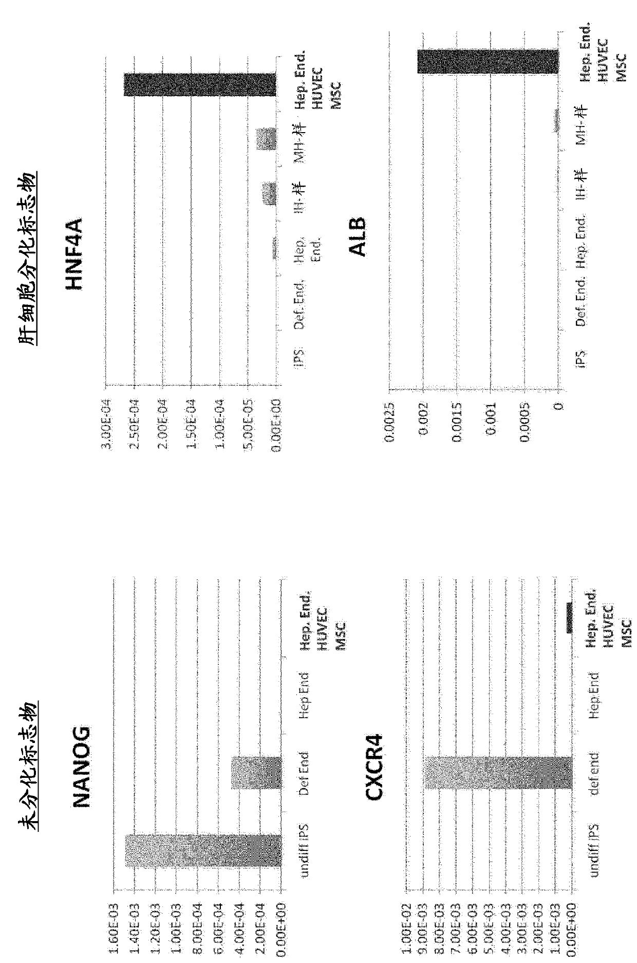 Method for producing tissue and organ