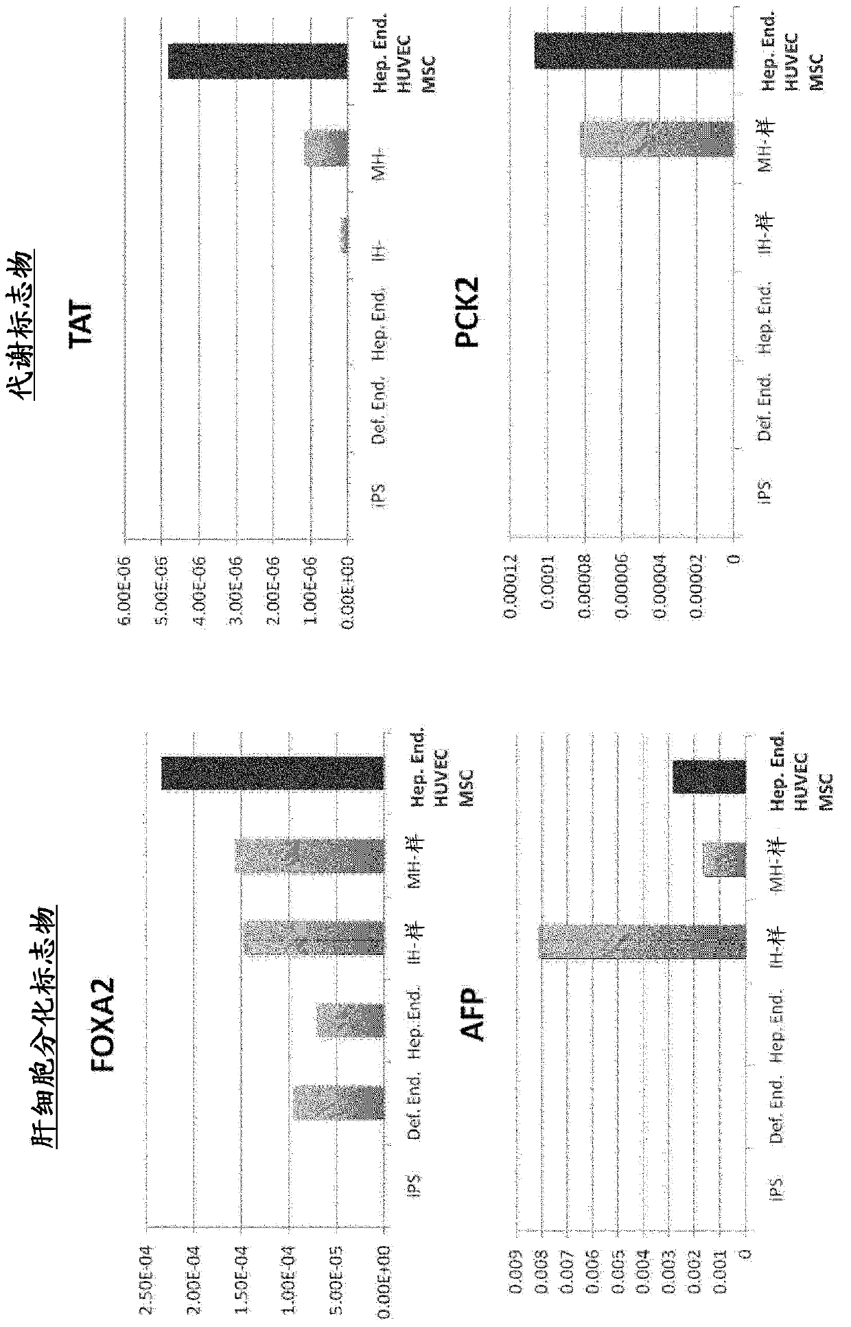 Method for producing tissue and organ