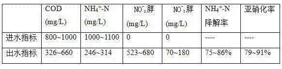 Coupling type sewage purification and regeneration treating method capable of removing phosphorus efficiently