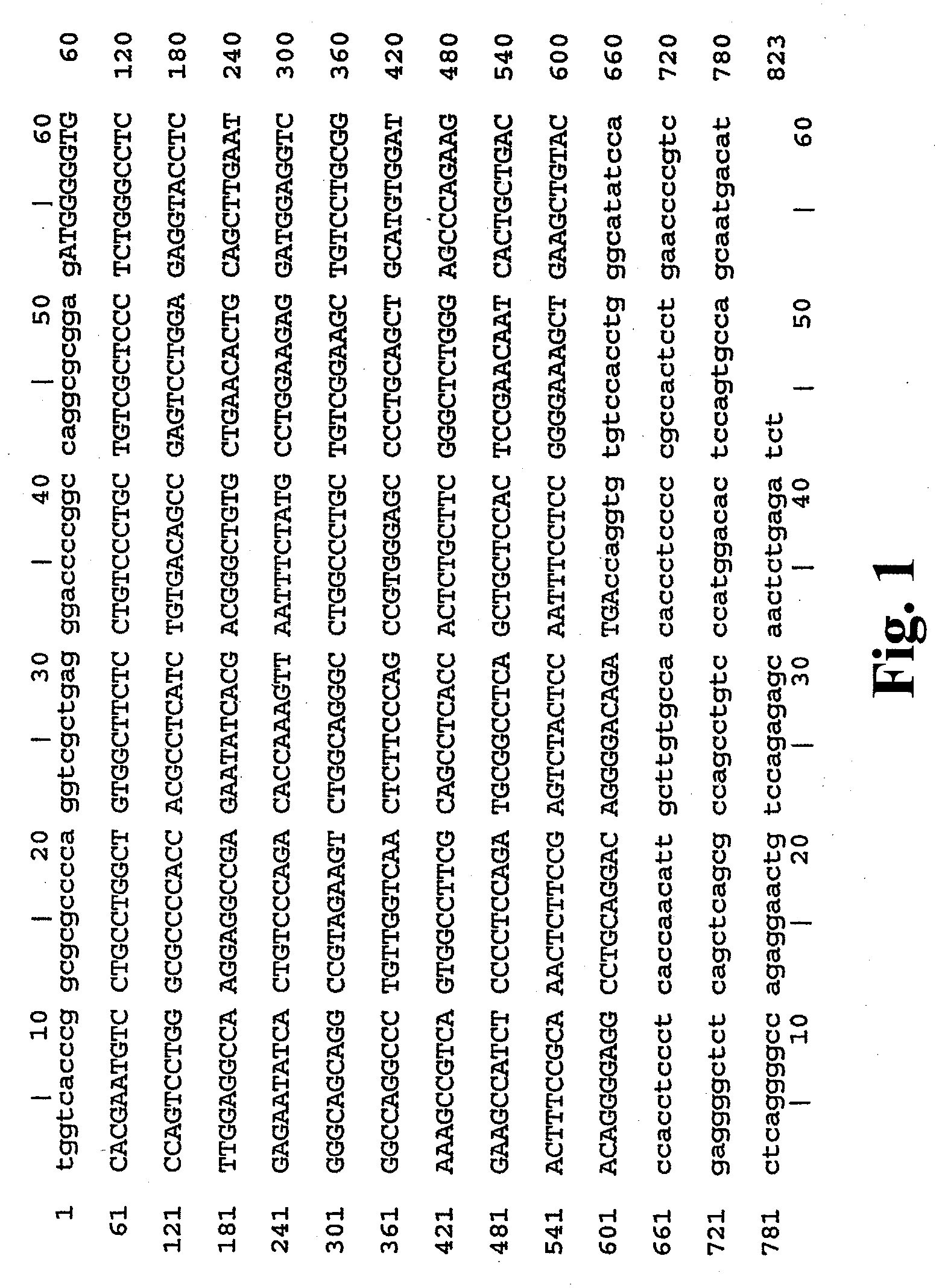 Methods of treating anemia using recombinant adeno-associated virus virions