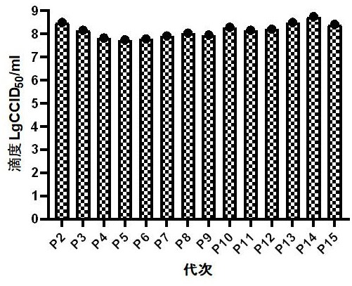 Coxsackie virus A10 type strain and vaccine and application thereof