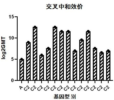 Coxsackie virus A10 type strain and vaccine and application thereof