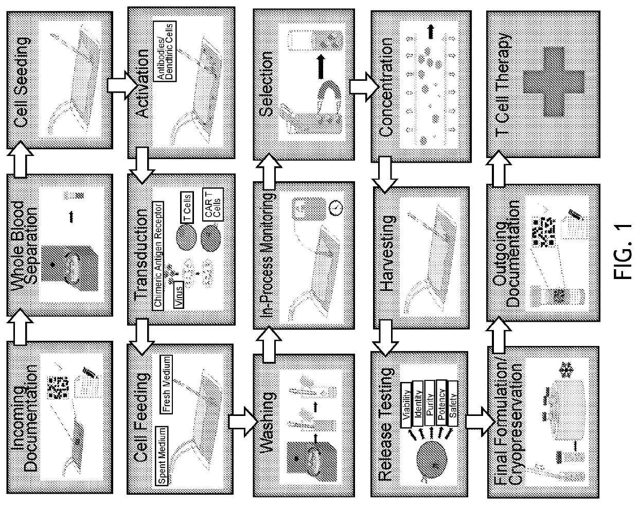 End-to-end cell therapy automation