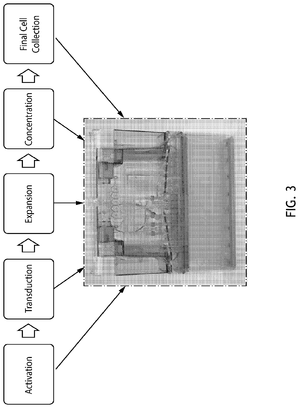 End-to-end cell therapy automation