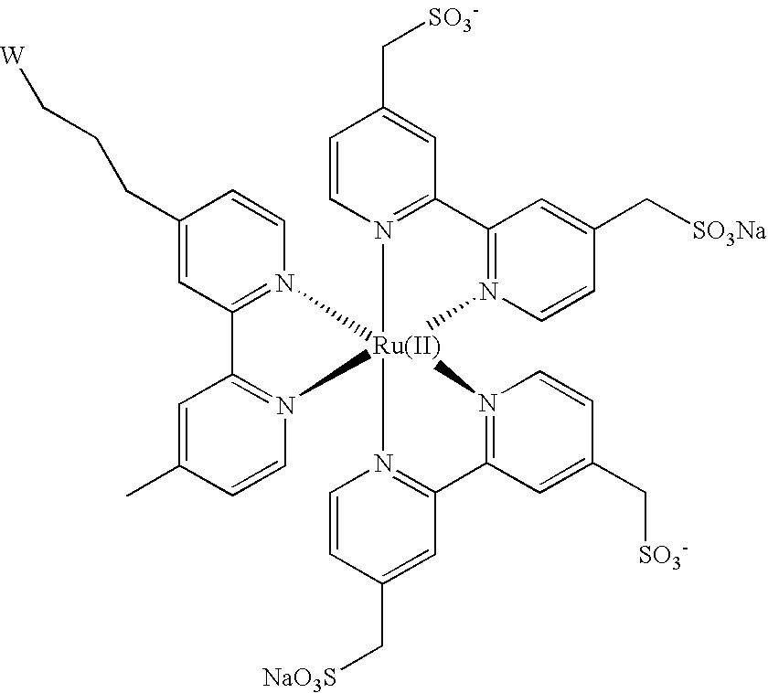 Methods and compositions for detecting Bacillus anthracis