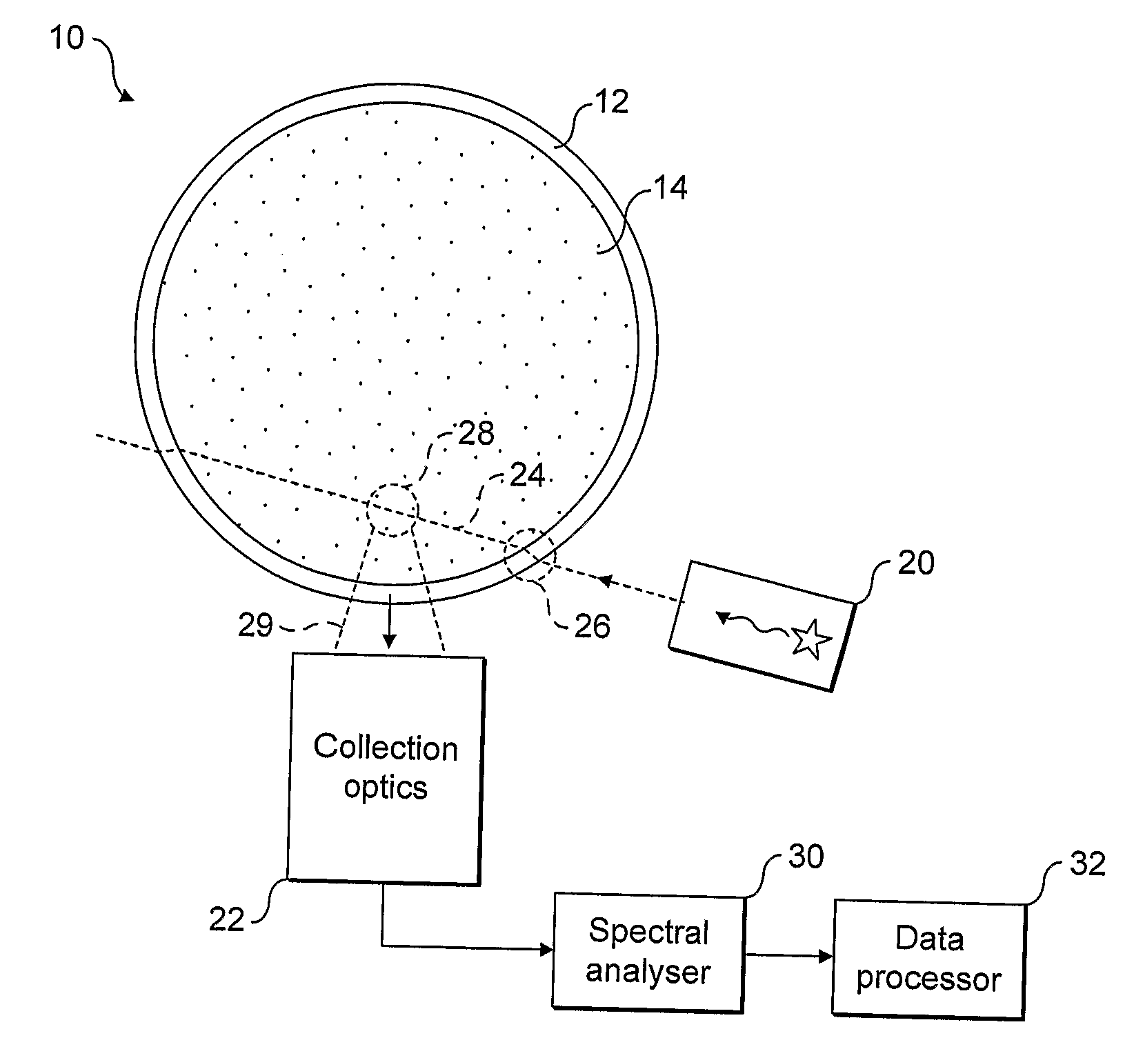 Raman detection of container contents