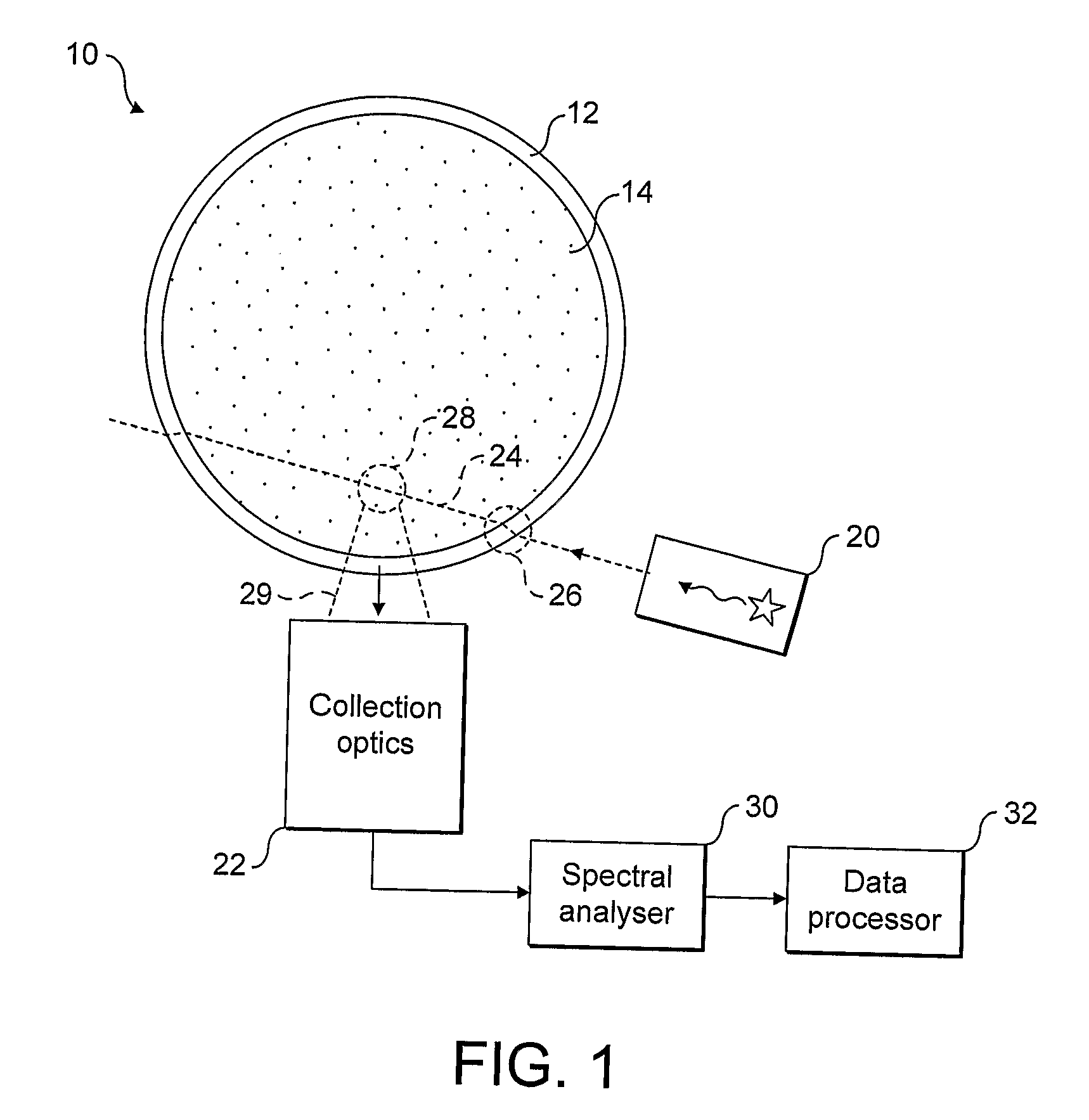 Raman detection of container contents