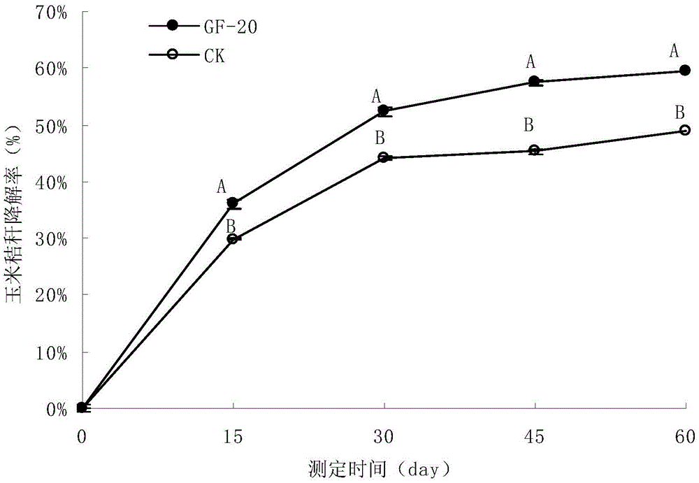 A low-temperature and high-efficiency corn stalk degrading composite bacterial system and its application