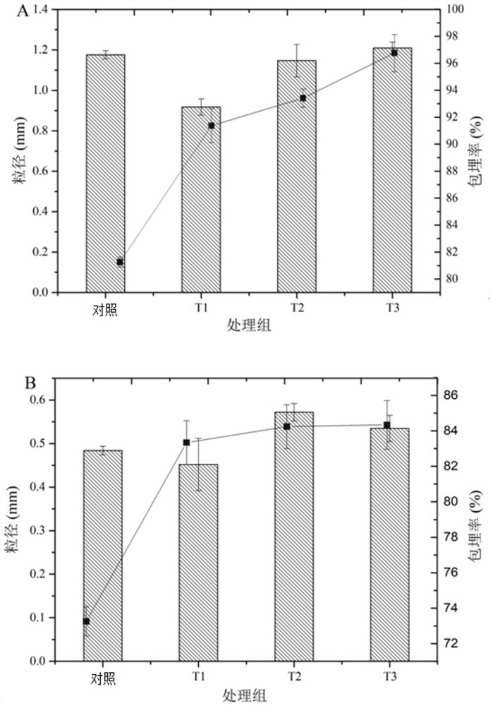 Microcapsule-embedded probiotics capable of being released at fixed points in intestinal tracts and preparation method thereof