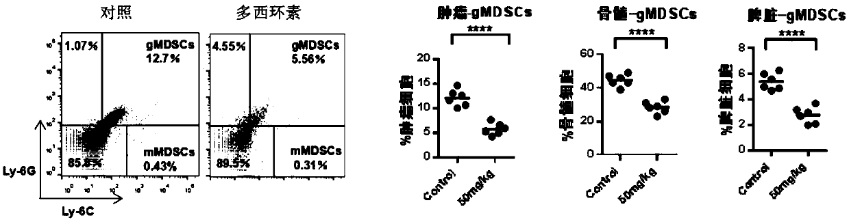 Application of doxycycline in preparing drug for inhibiting myeloid-derived suppressor cells