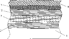 Chameleon coating, use method thereof on colored coating steel plate and colored coating steel plate