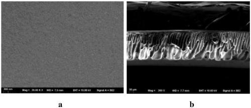 Oxidized graphene/mesoporous silica compound ultrafiltration membrane preparation method and application thereof