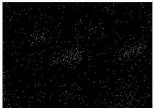 Oxidized graphene/mesoporous silica compound ultrafiltration membrane preparation method and application thereof