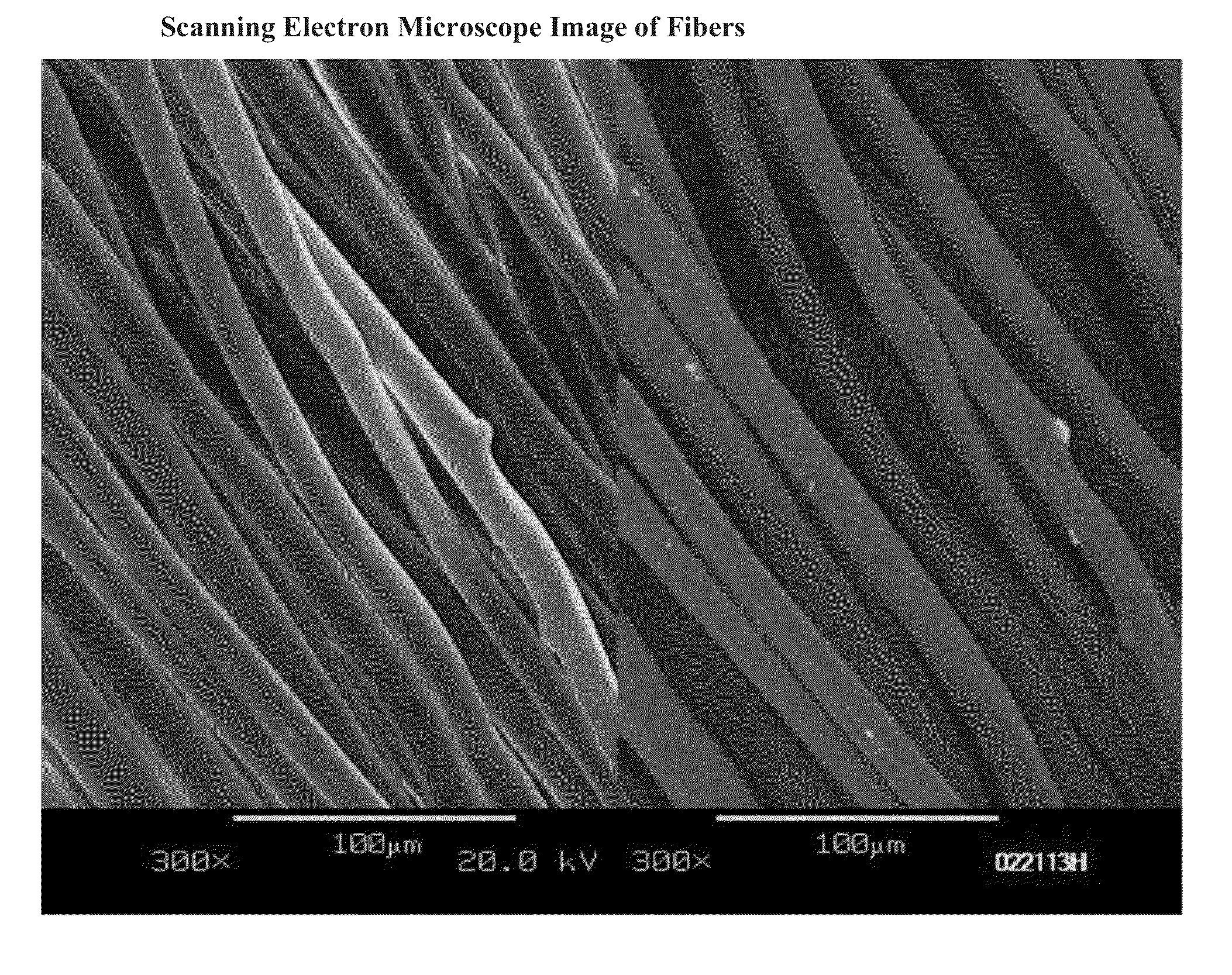 Antimicrobial and Antifungal Polymer Fibers, Fabrics, and Methods of Manufacture Thereof