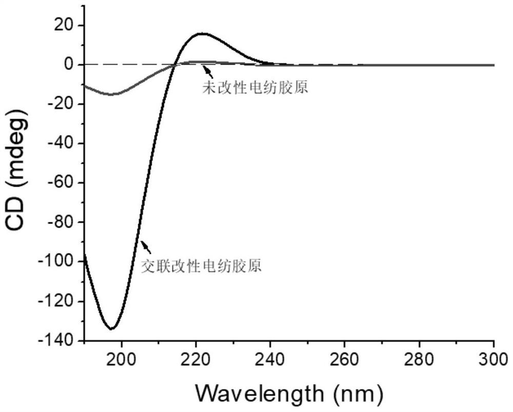 A kind of water-soluble cross-linking agent and its preparation method and prepared electrospun collagen fiber