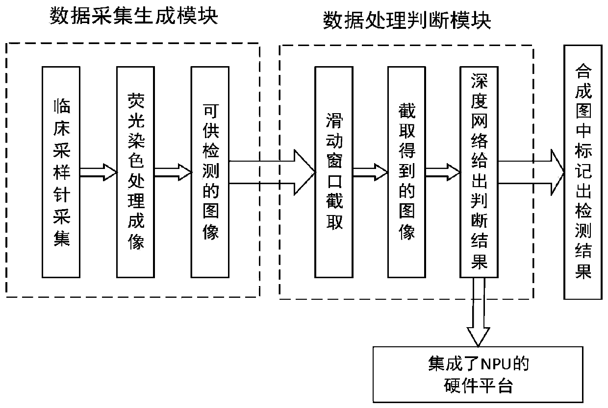 Cancer cell detection device based on sliding window