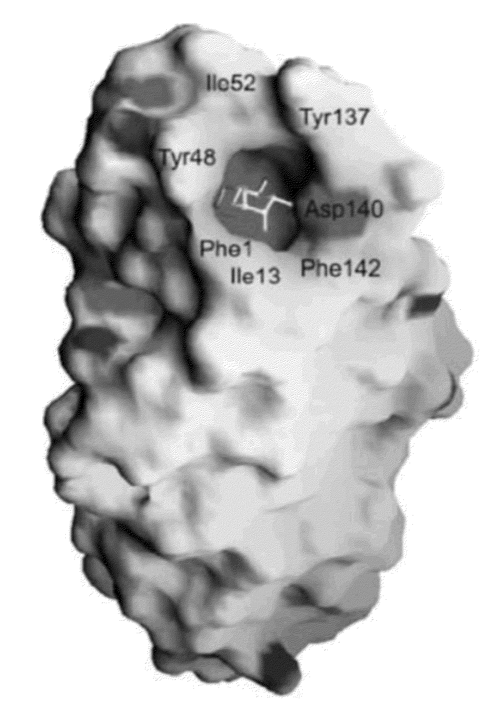 Compounds and methods for treating bacterial infections