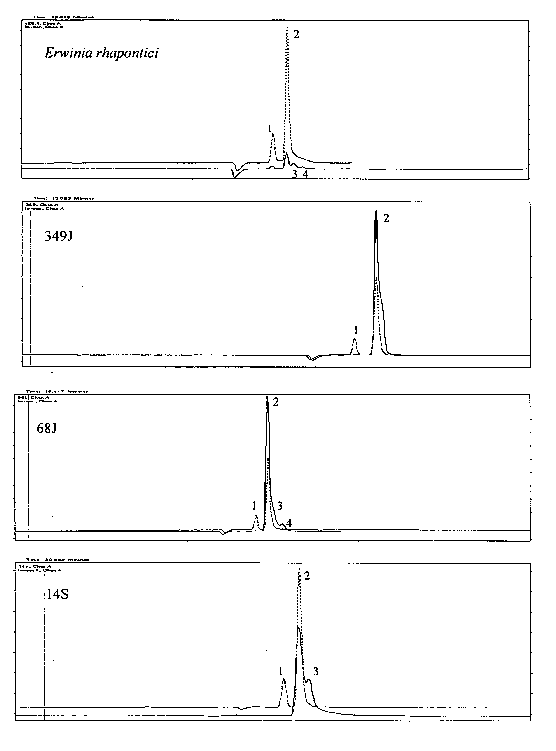 Isomaltulose synthases, polynucleotides encoding them and uses therefor