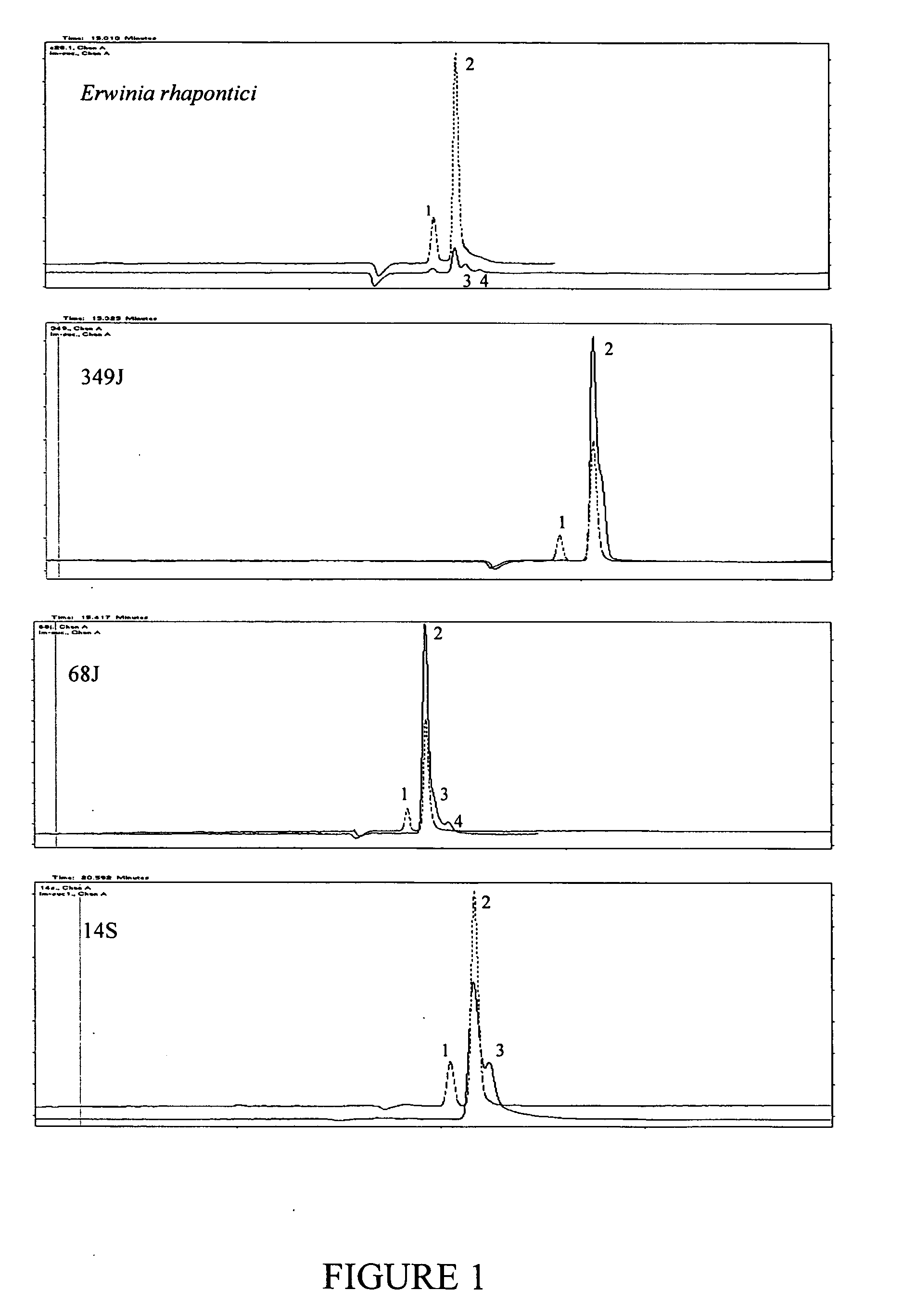 Isomaltulose synthases, polynucleotides encoding them and uses therefor