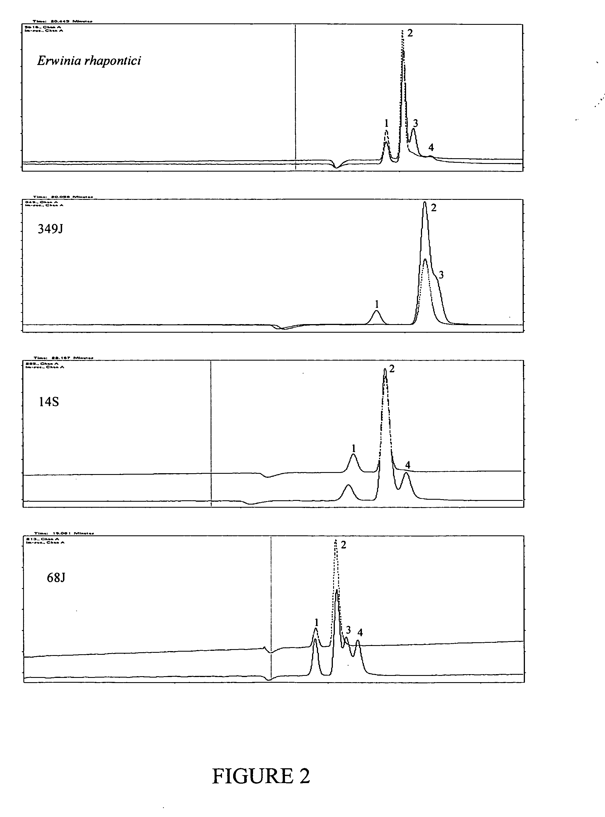 Isomaltulose synthases, polynucleotides encoding them and uses therefor