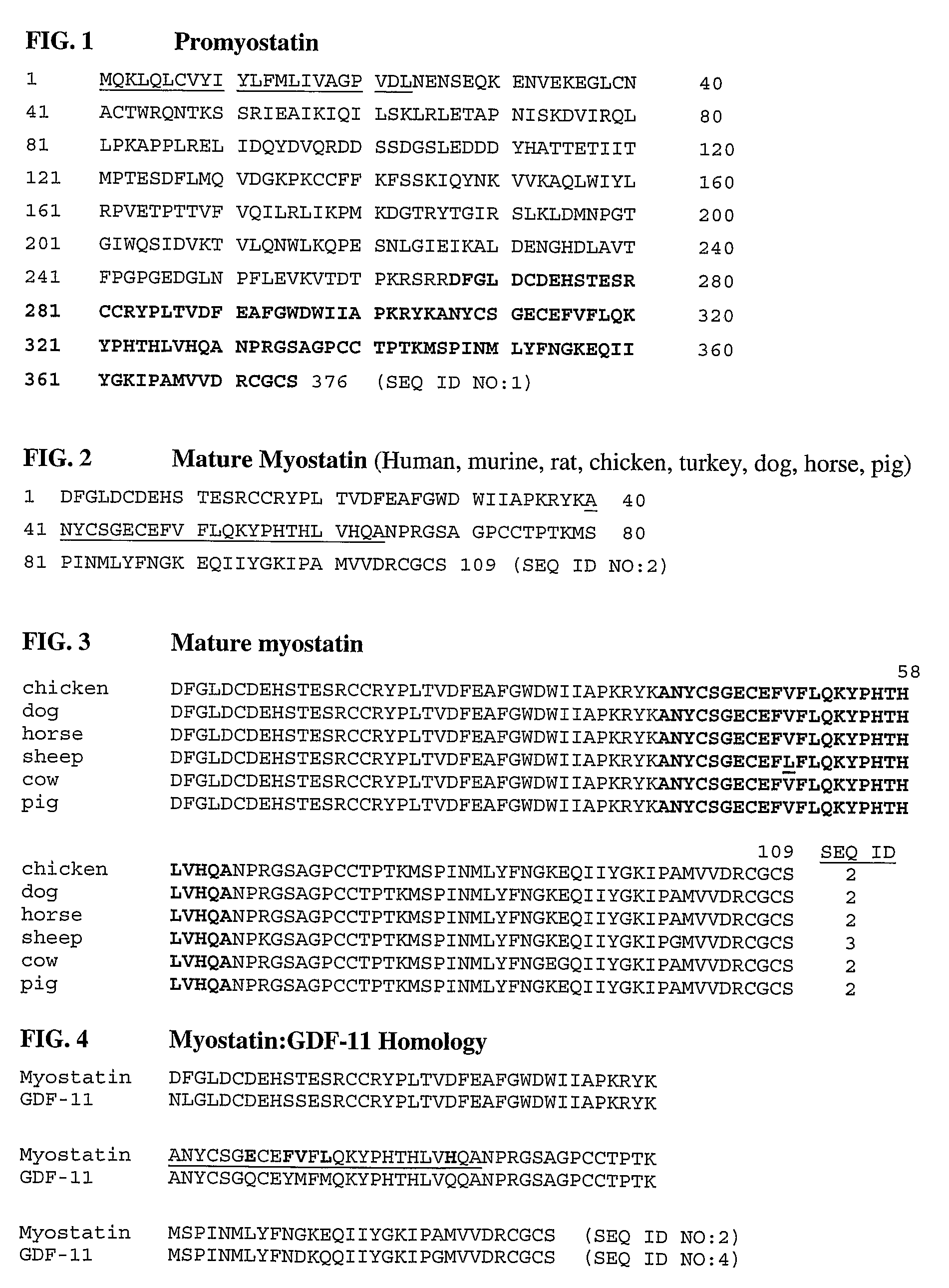 Anti-myostatin antibodies