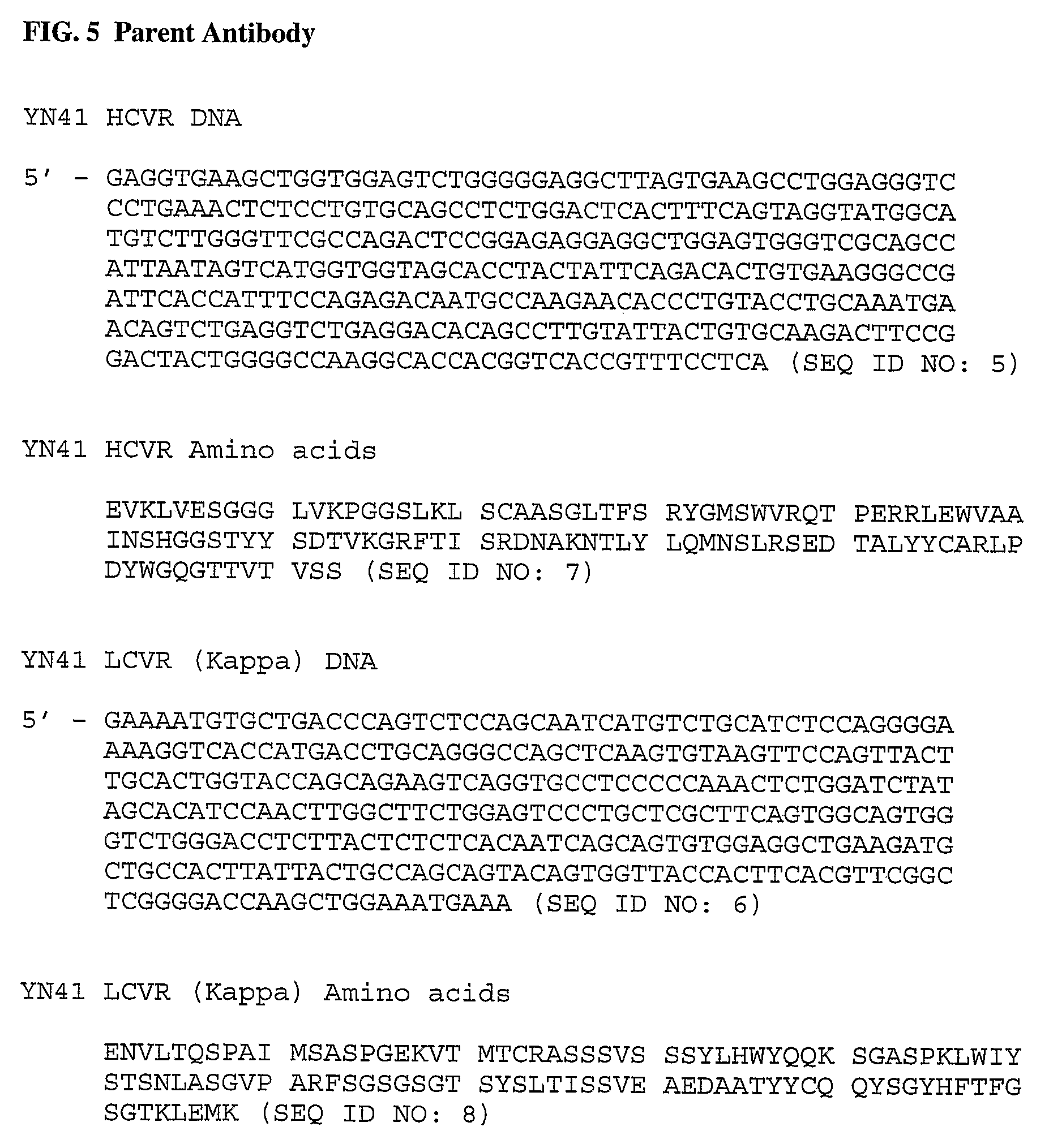 Anti-myostatin antibodies