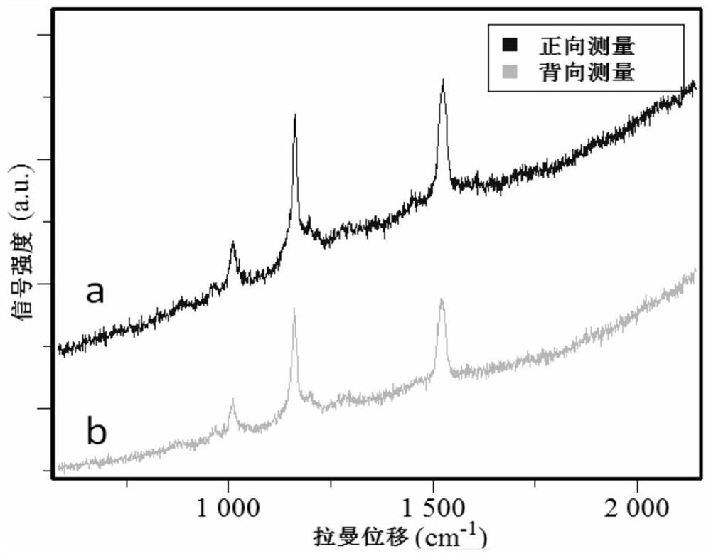 An all-in-one device for rapid Raman measurement and laser ejection sorting of single cells