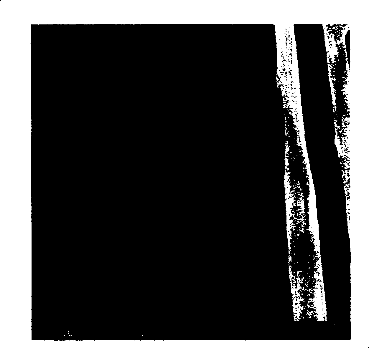 Directional magnetic electrical spinning Nano fibers, preparation method and equipment needed