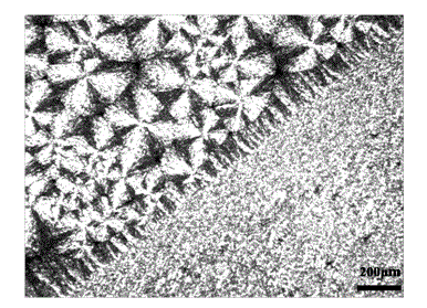 Polyester composite material with polyvinylidene fluoride fiber as nucleating agent and preparation method thereof