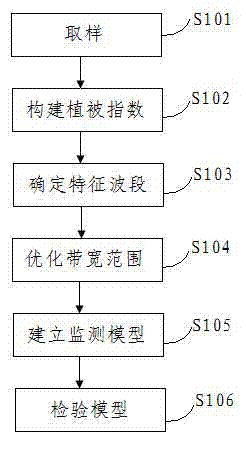 Method for modeling rice and wheat leaf nitrogen content spectrum monitoring model