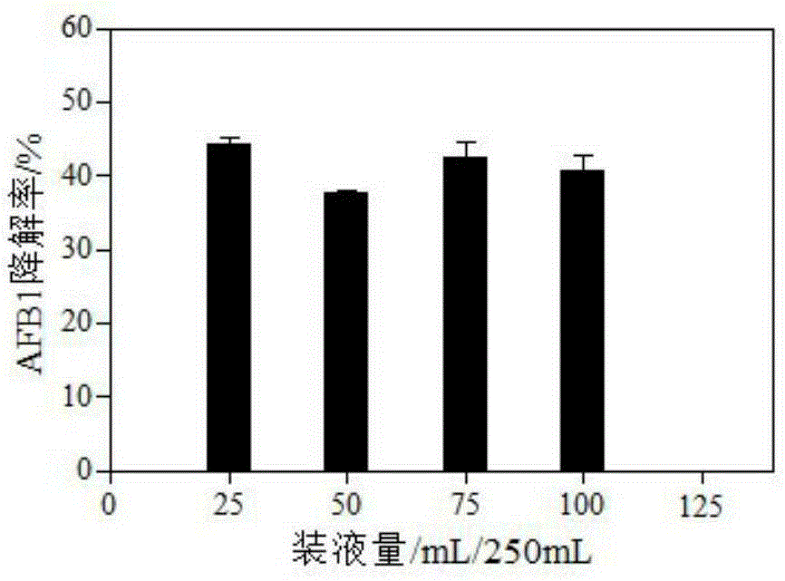 Microbe capable of producing aflatoxin B1 (AFB1) degrading enzyme and application thereof