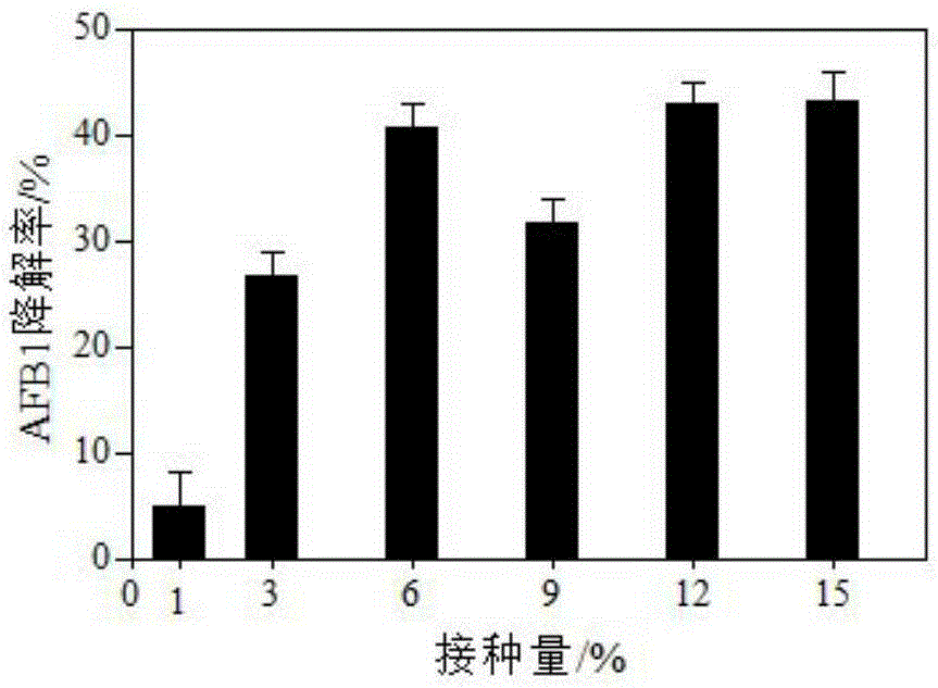 Microbe capable of producing aflatoxin B1 (AFB1) degrading enzyme and application thereof