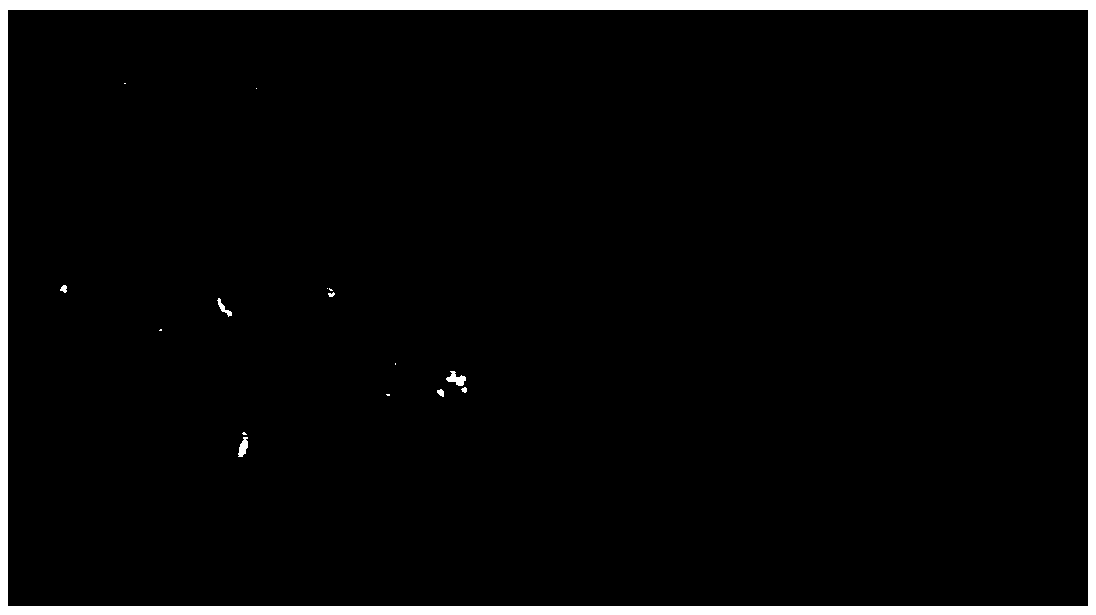 Texture forming method of air-dried beef and mutton