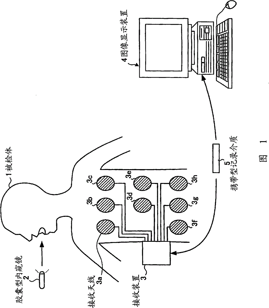 Encapsulated endoscope