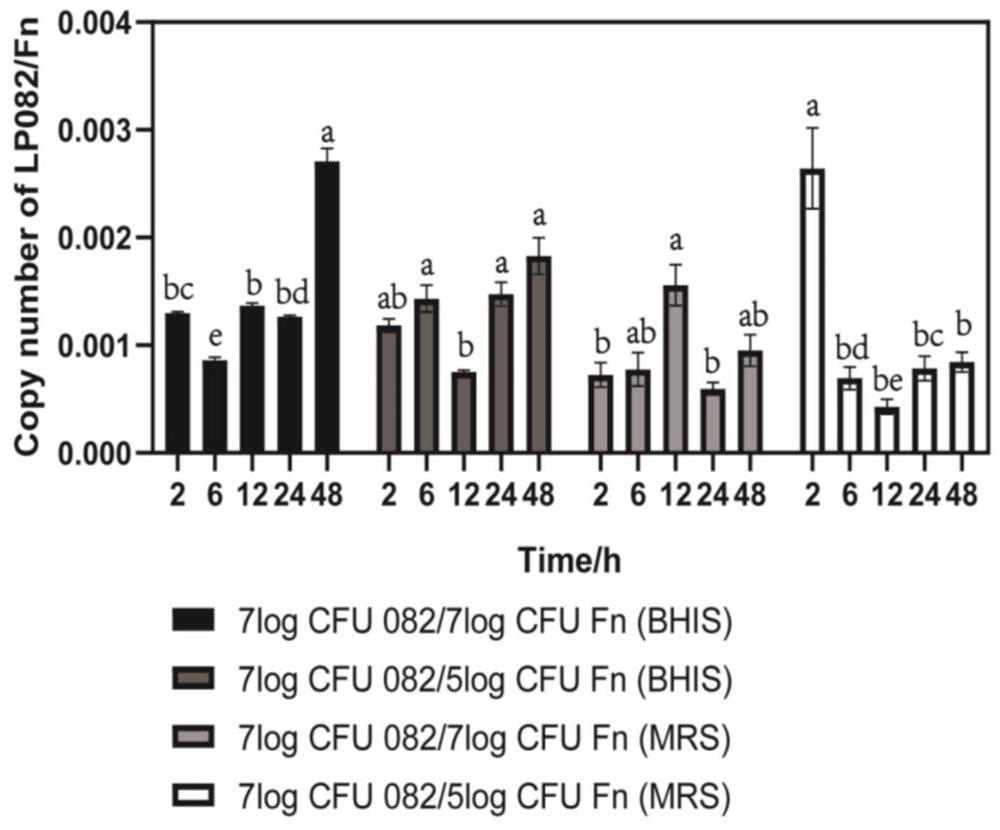 Lactiplantibacillus plantarum HNU082 with antagonistic effect and application thereof