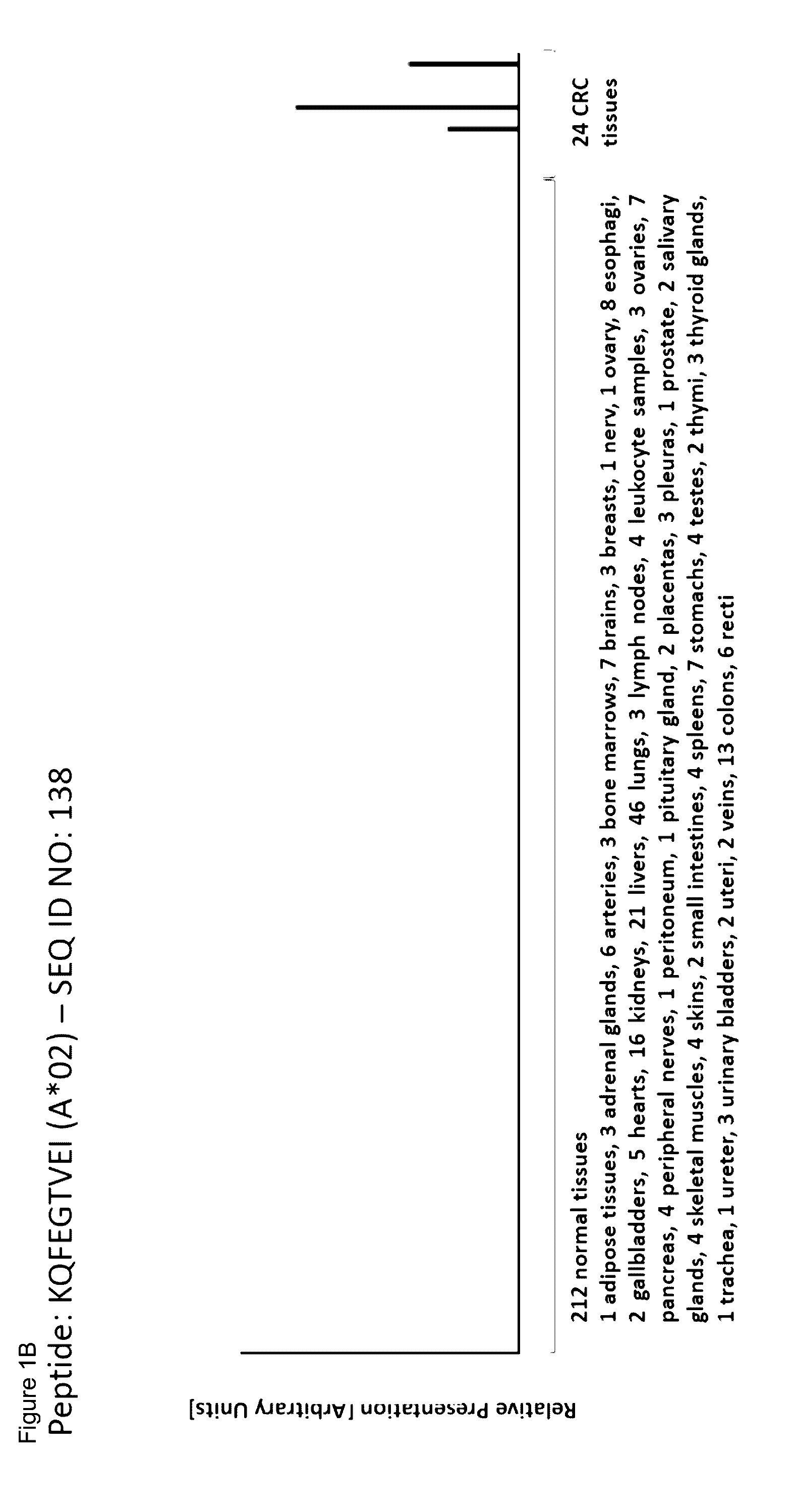 Novel peptides and combination of peptides and scaffolds thereof for use in immunotherapy against colorectal carcinoma (CRC) and other cancers