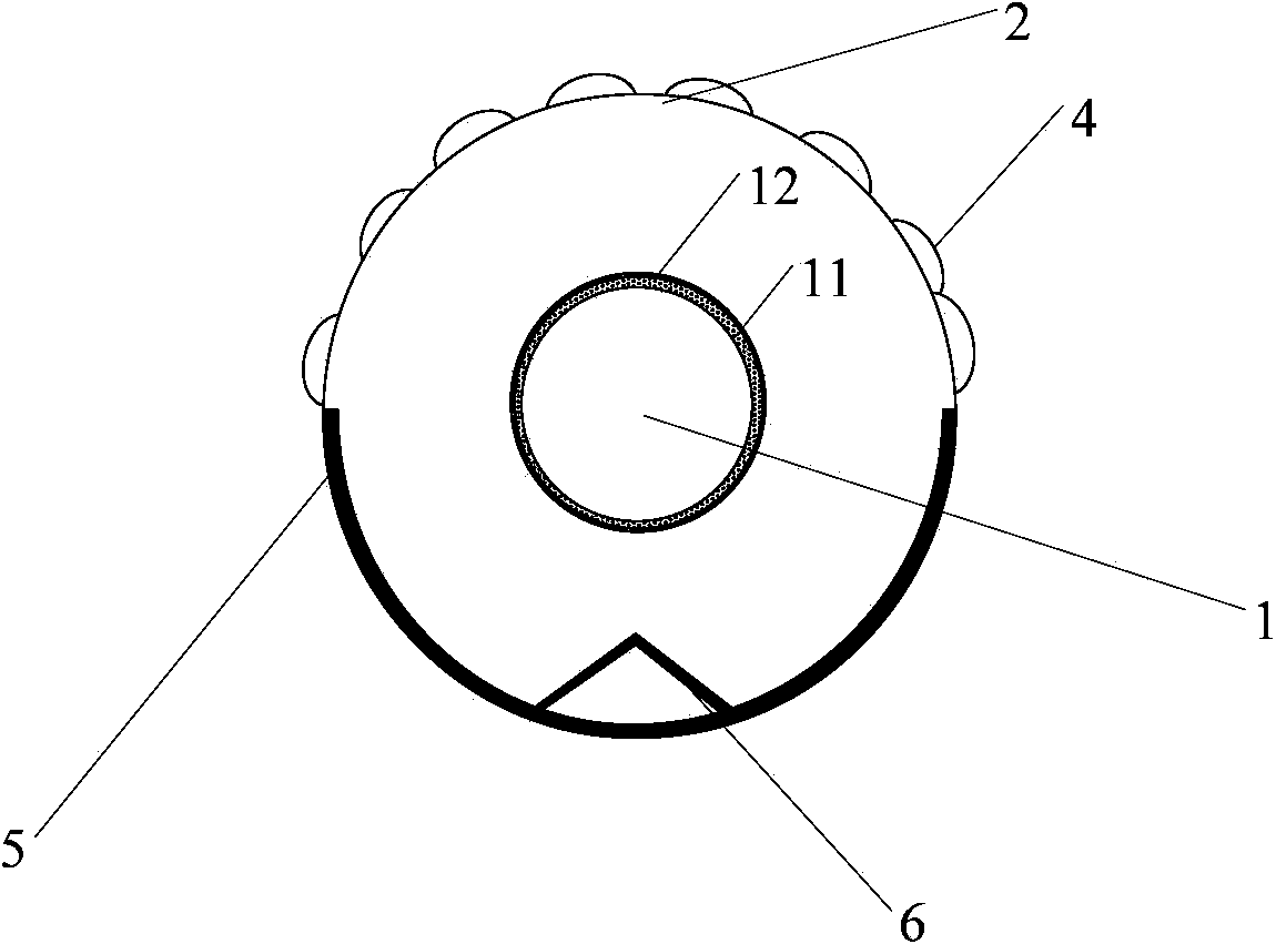 Solar vacuum tube