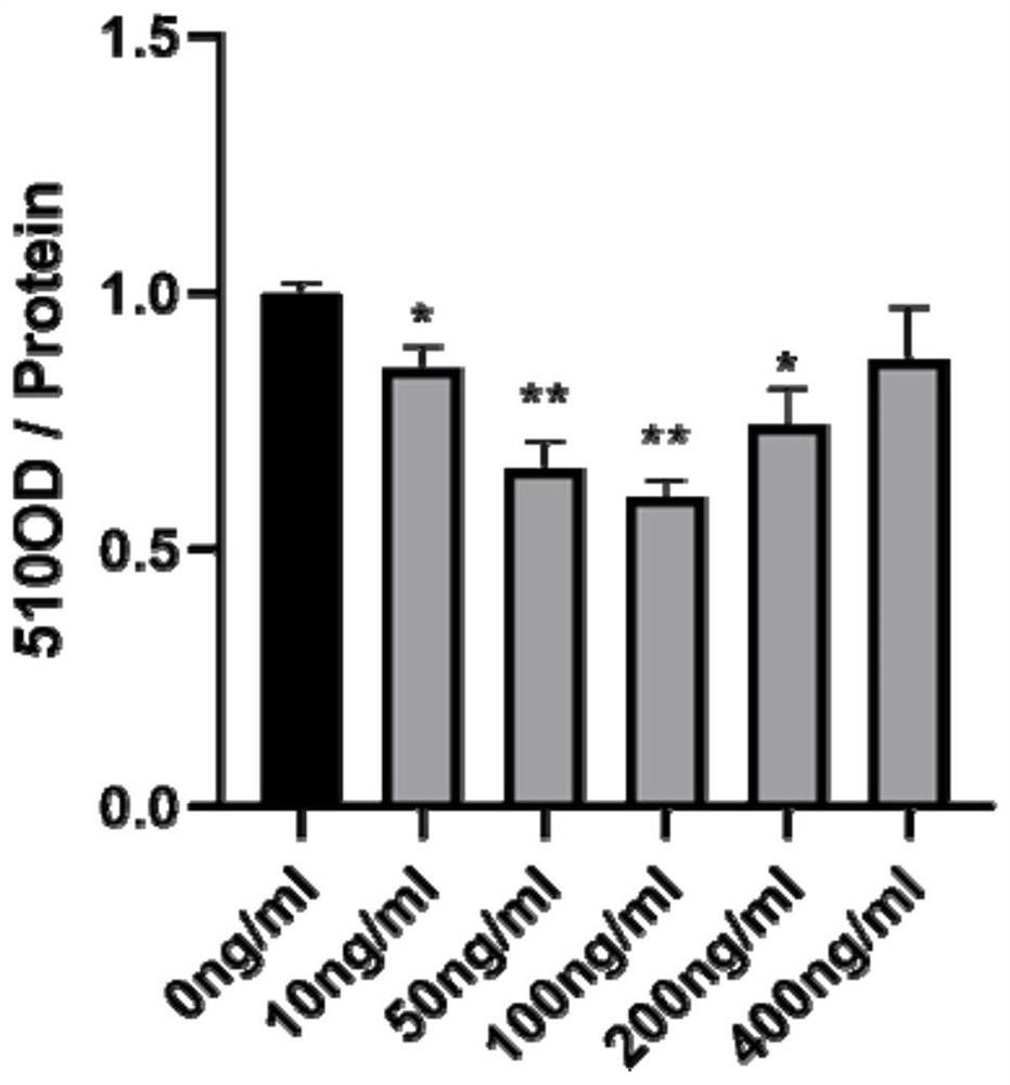 Application of chicken CTGF gene in inhibition of chicken preadipocyte differentiation