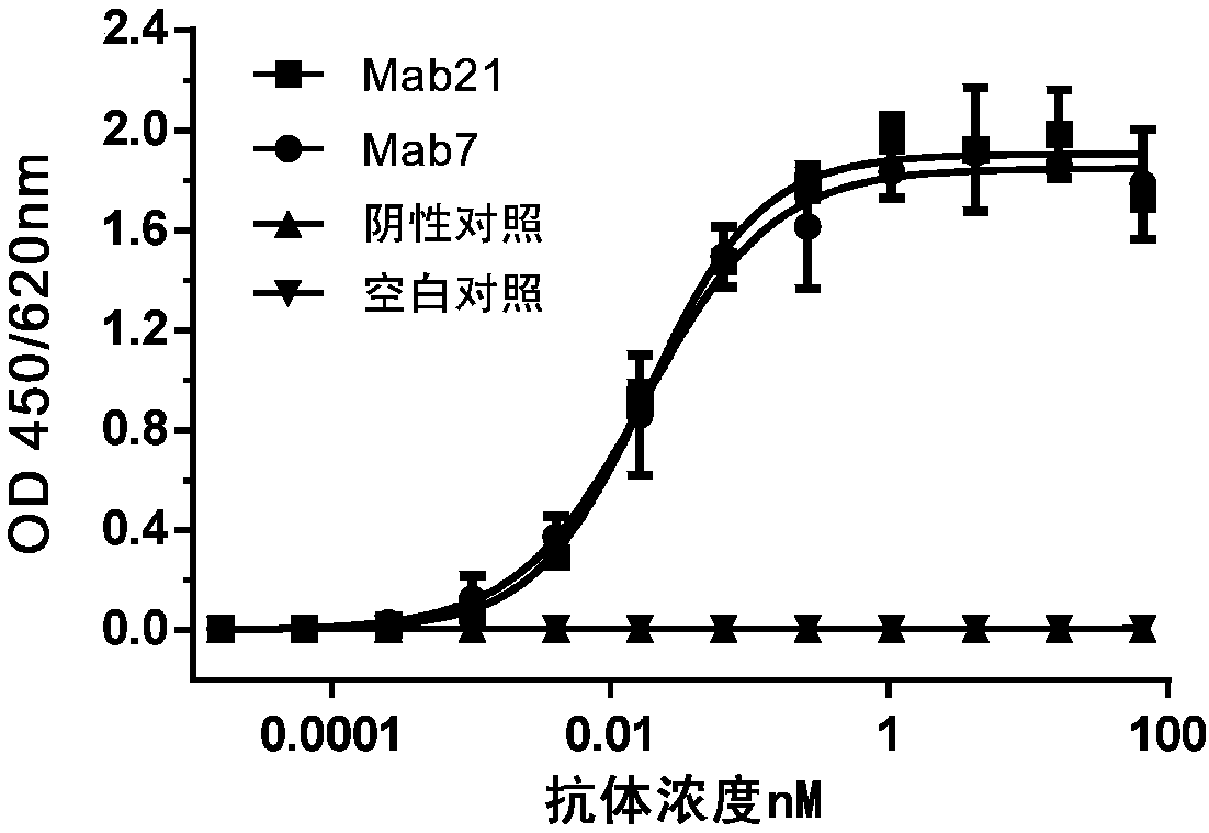 Anti-TIGIT antibodies and uses thereof