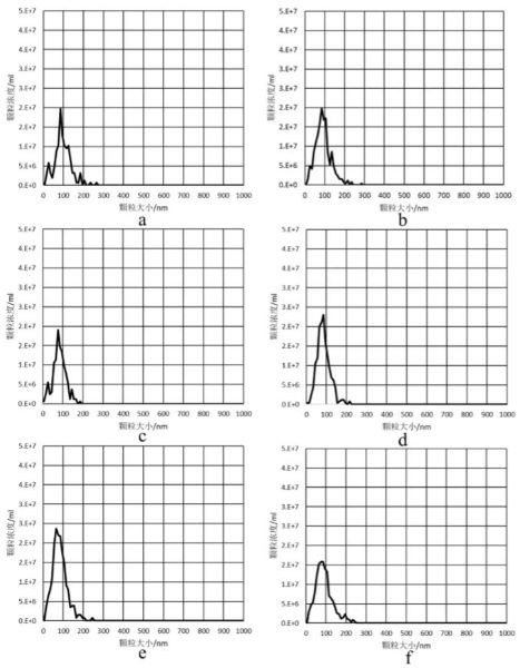 Method for increasing tissue exosome yield by using freezing microtome