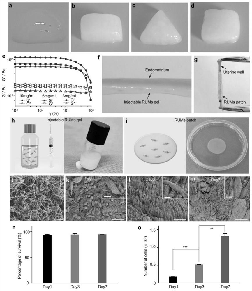 Preparation method and application of reconfigurable uterus derived material