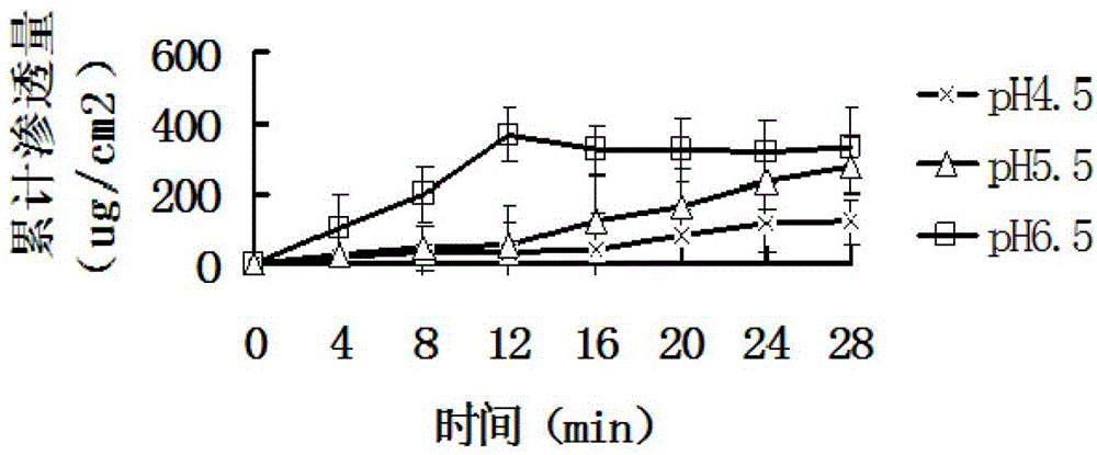 Fentanyl double-layer buccal tablet and preparation method thereof