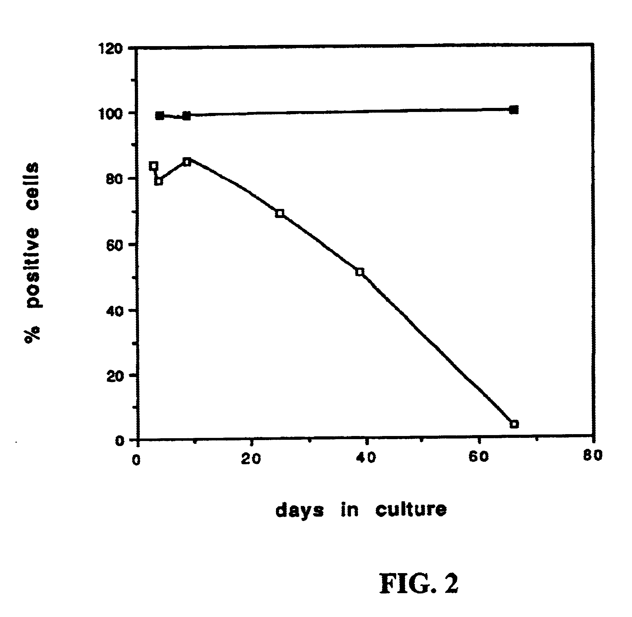 Method for producing preparations of mature and immature pancreatic endocrine cells, the cell preparation and its use for treatment of diabetes mellitus