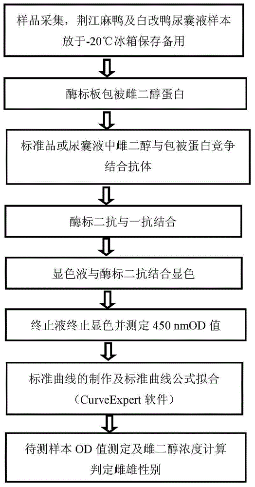 Duck embryo early sex identification method and special kit