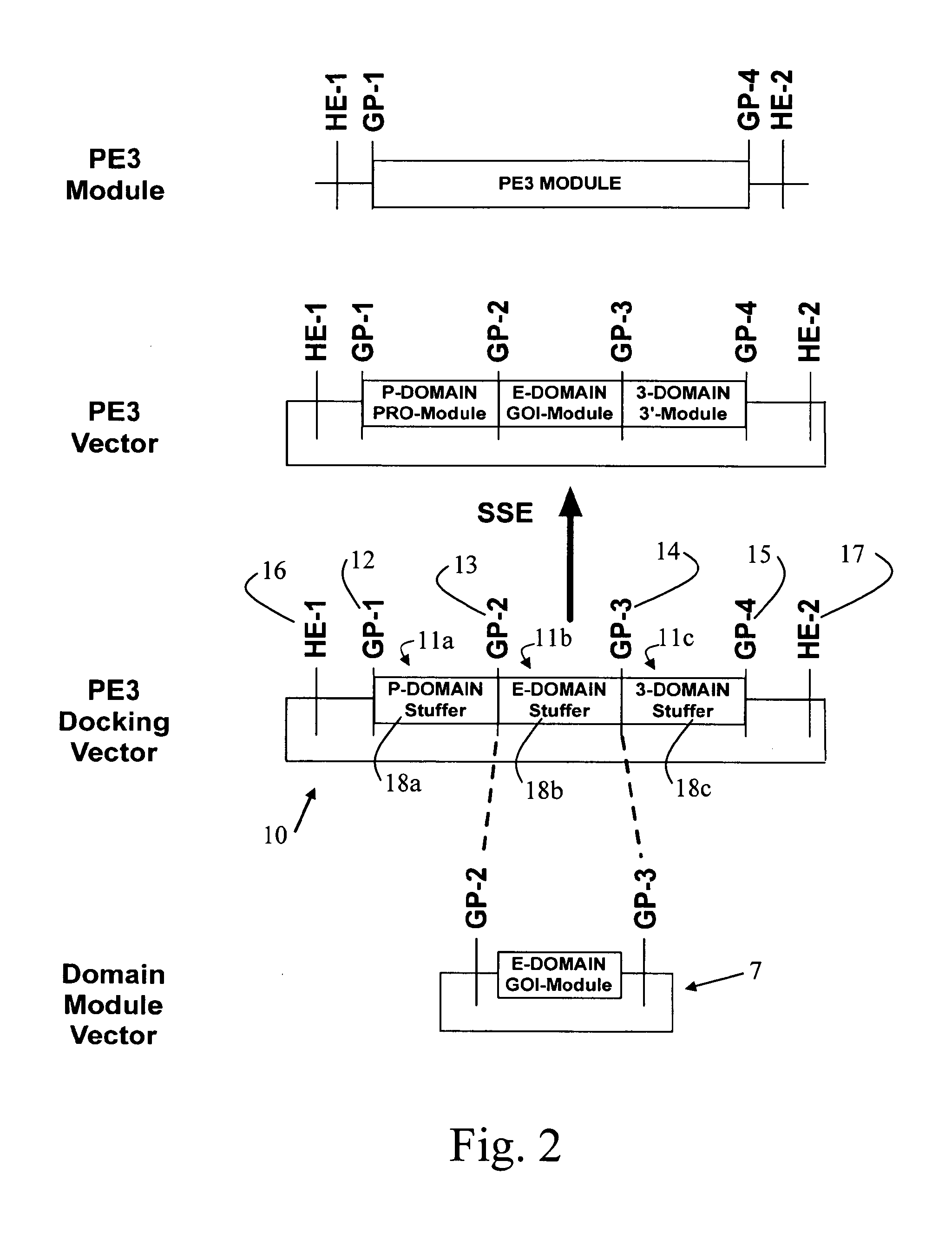 DNA modular cloning vector plasmids and methods for their use