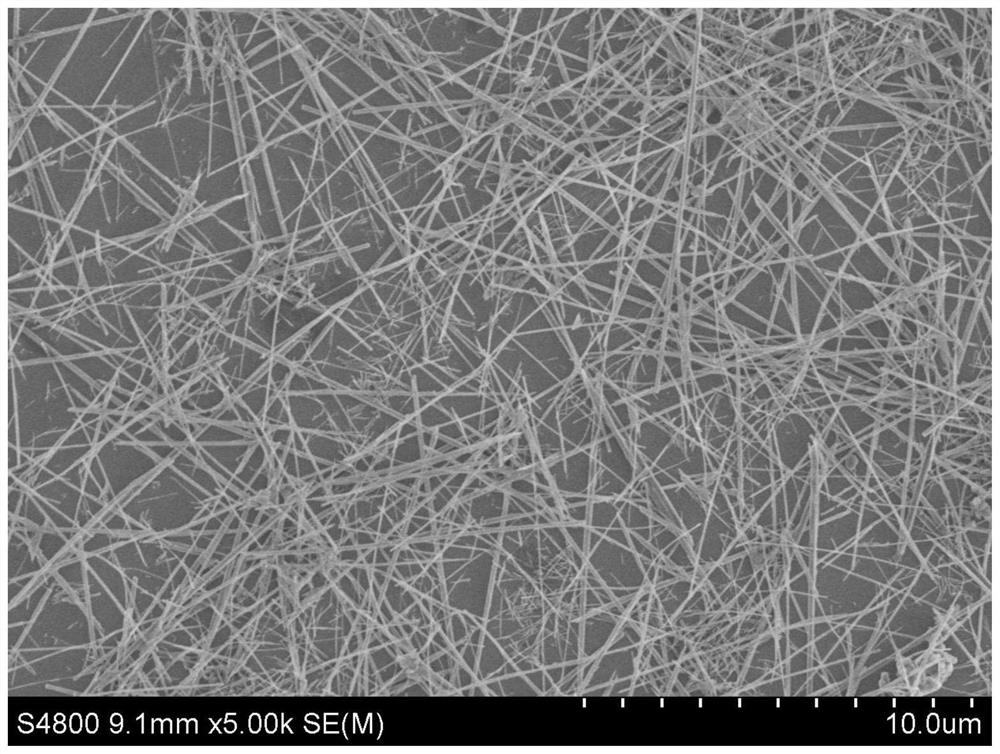 High-length-diameter-ratio tricalcium phosphate artificial bone meal bone repair material and preparation method thereof